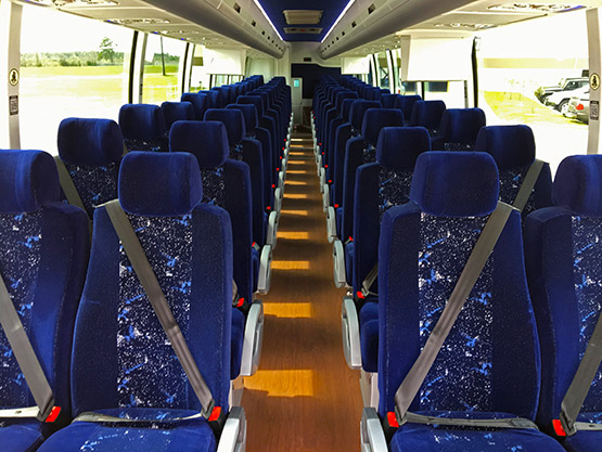 Amusement Park Charter Bus & Minibus Rental