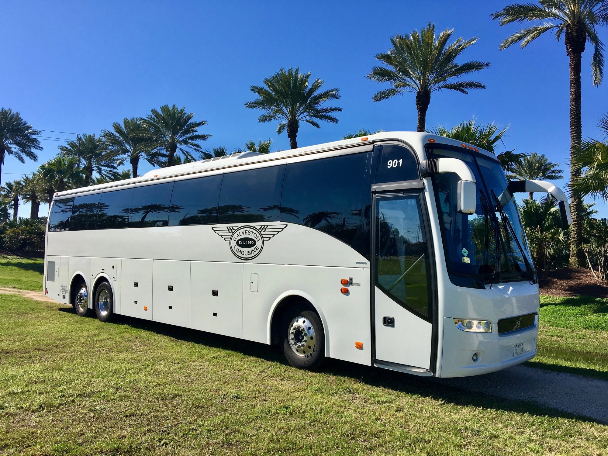 Amusement Park Charter Bus & Minibus Rental